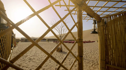 Desert Safari in Abu Dhabi