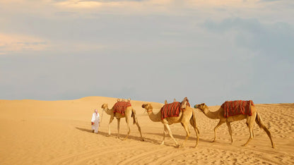 Desert Safari in Abu Dhabi