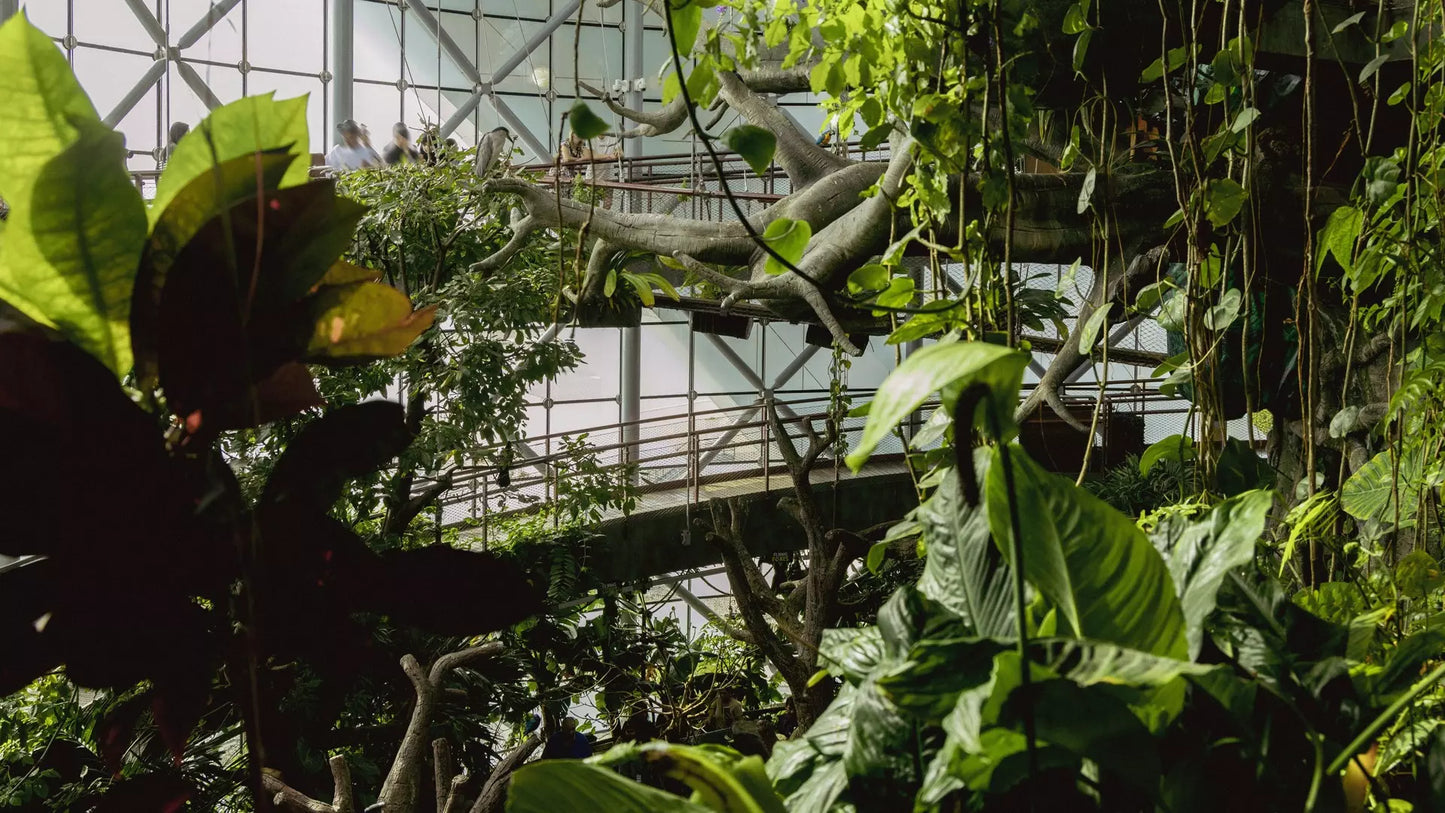 The Green Planet Dubai – Full Day Entry Ticket
