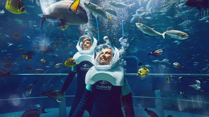 SeaWorld Abu Dhabi – Indoor Family Theme Park