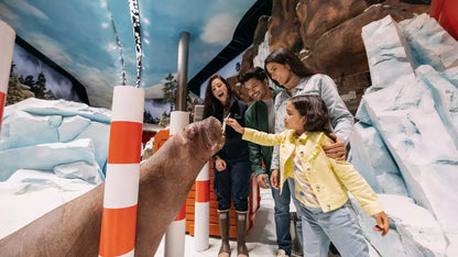 SeaWorld Abu Dhabi – Indoor Family Theme Park
